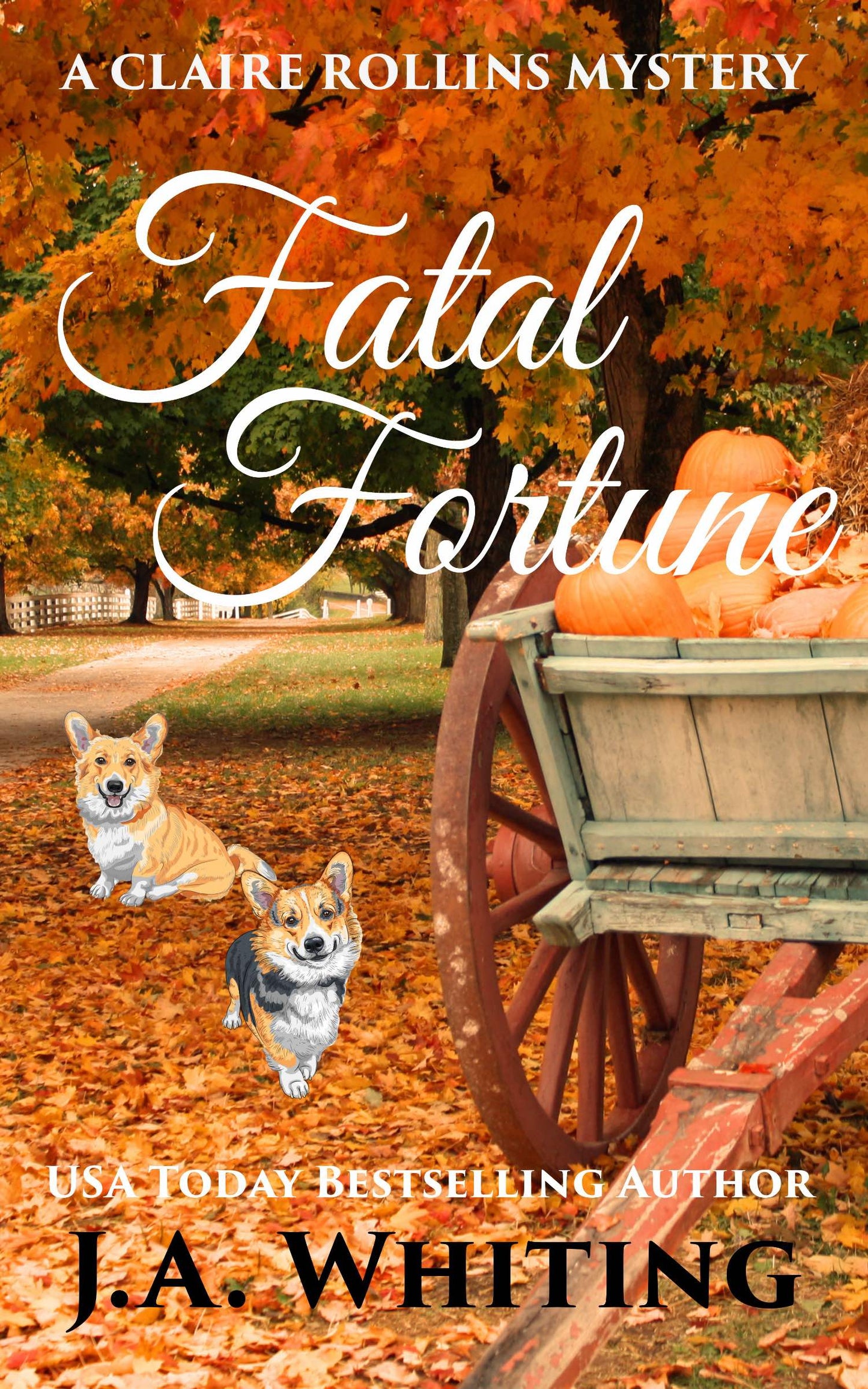 J A Whiting Fatal Fortune Ebook