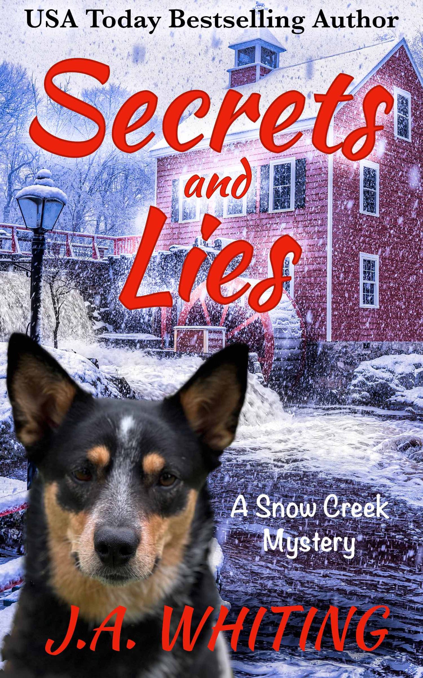 J A Whiting Secrets and Lies Ebook