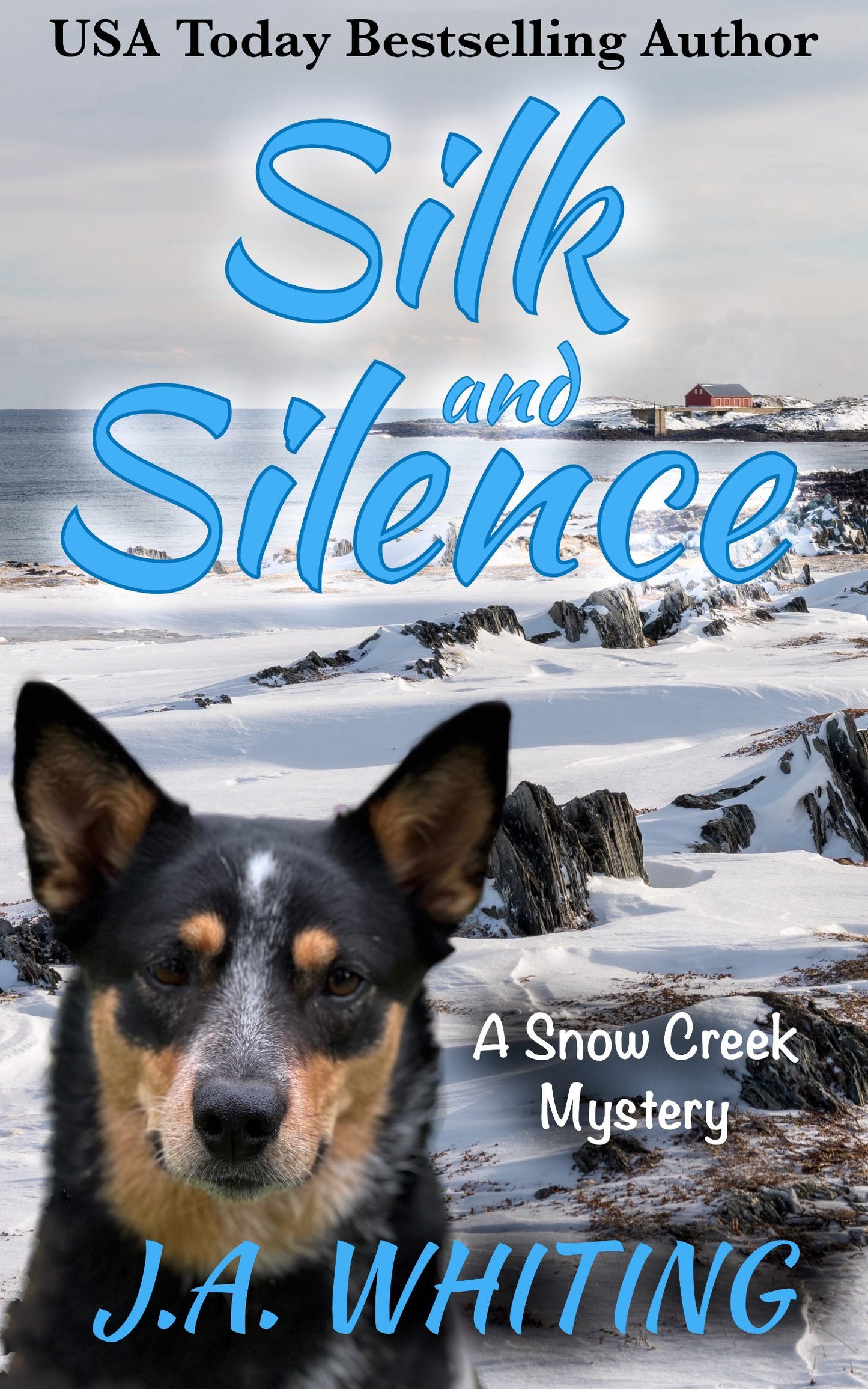 J A Whiting Silk and Silence Ebook