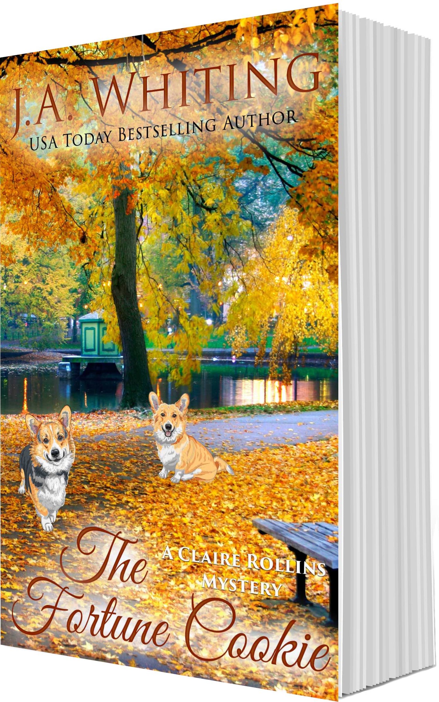 J A Whiting The Fortune Cookie Paperback