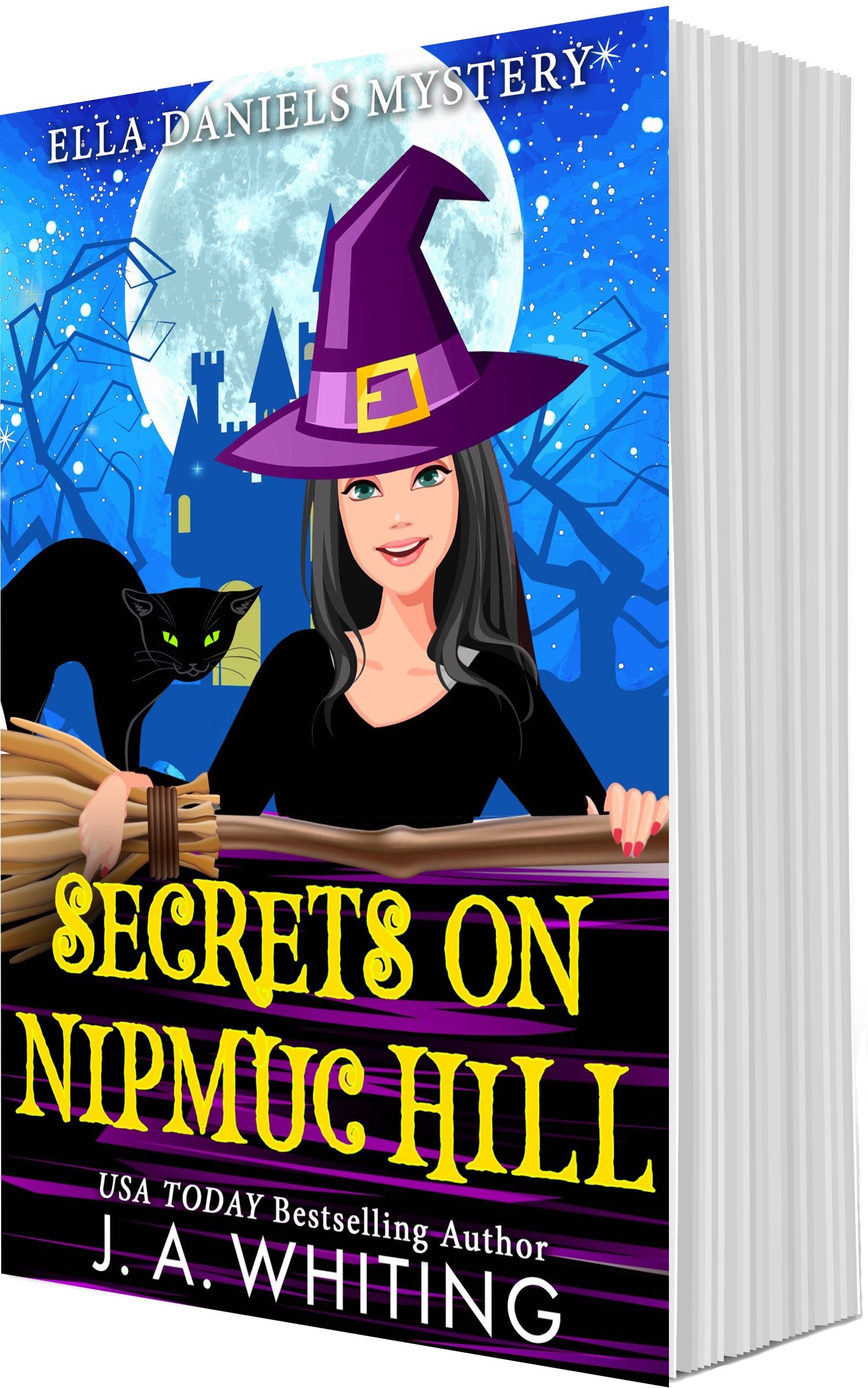 J A Whiting Secrets on Nipmuc Hill Paperback