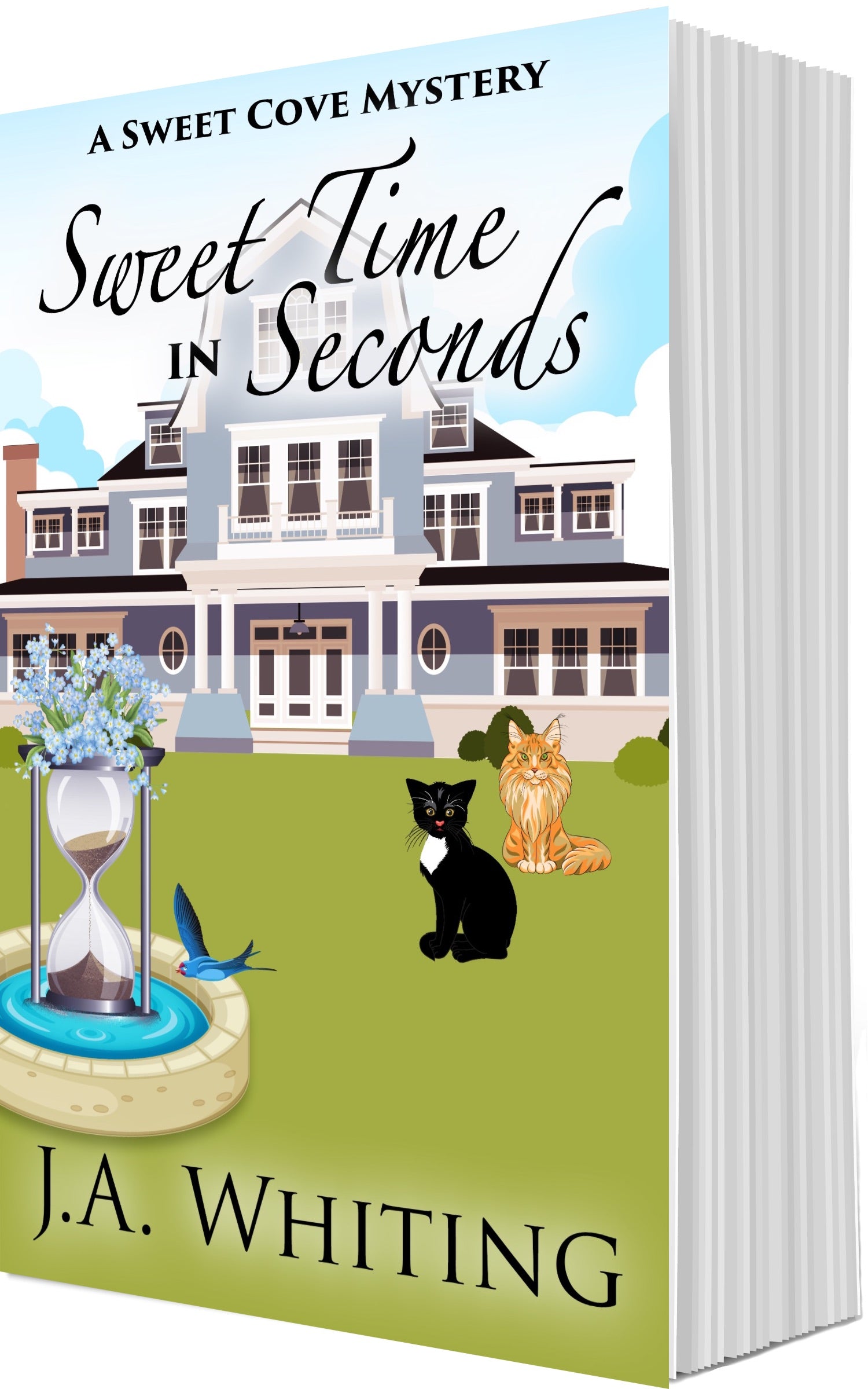 J A Whiting Sweet Time in Seconds Paperback