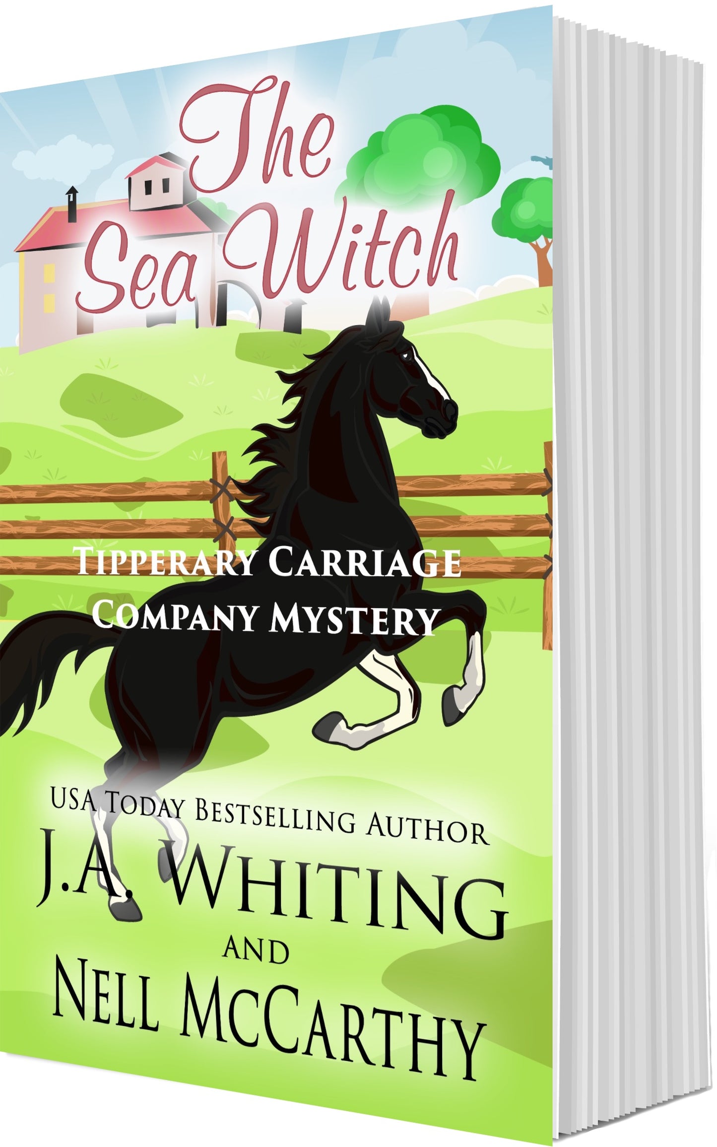 J A Whiting The Sea Witch Paperback