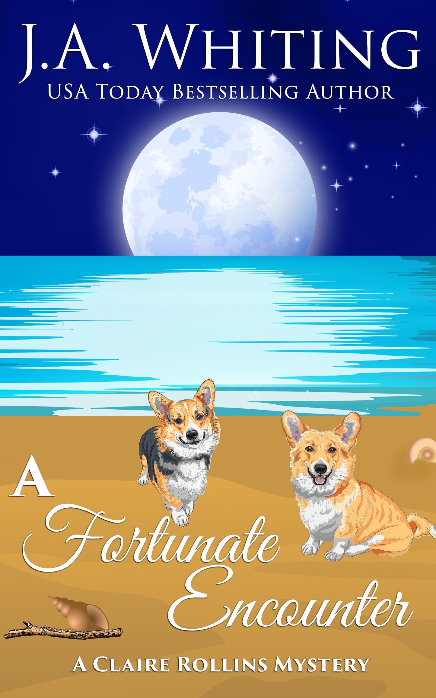 A Fortunate Encounter (EBOOK #6)