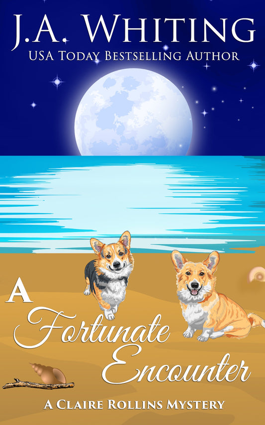 A Fortunate Encounter (EBOOK #6)