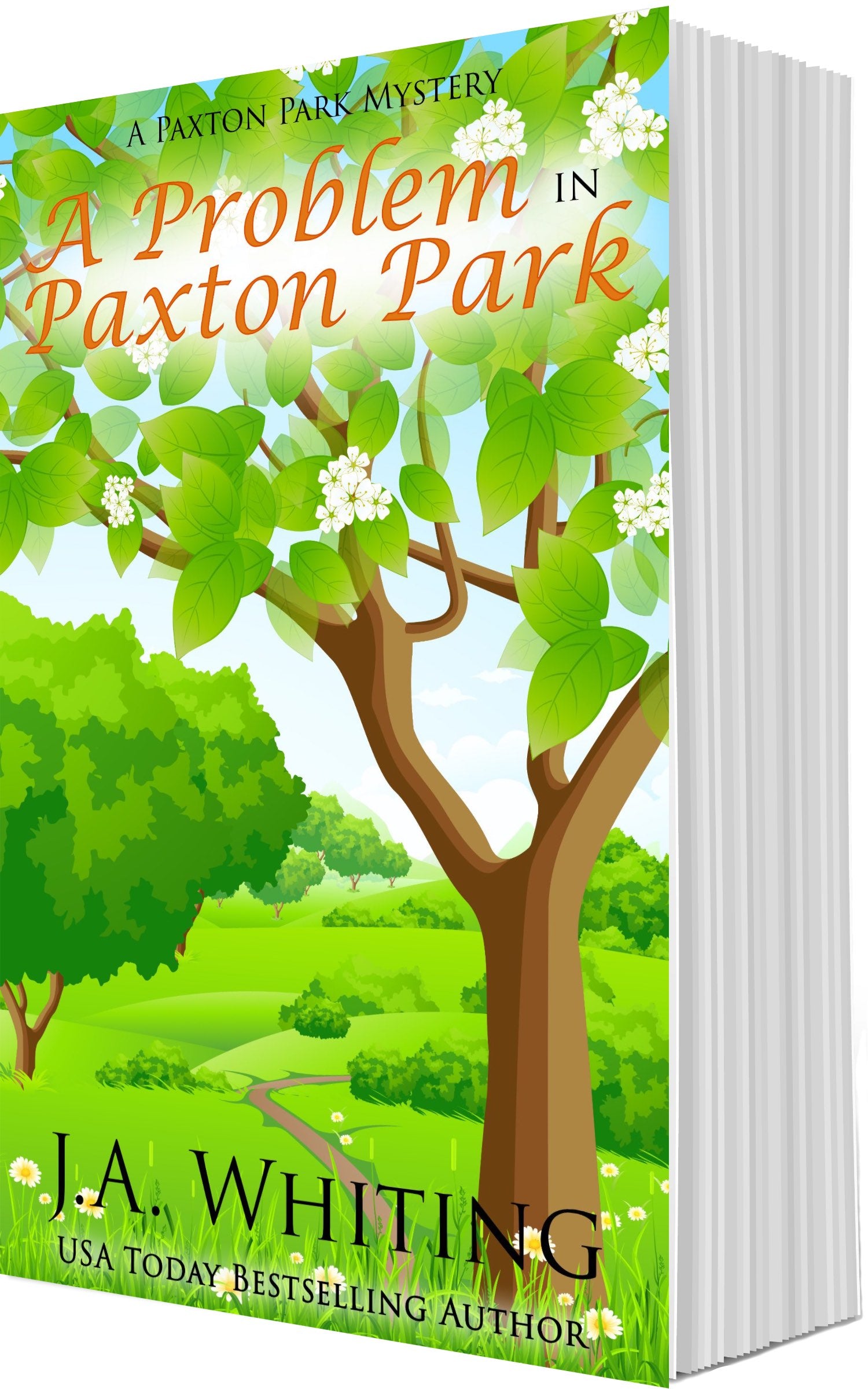 J A Whiting A Problem in Paxton Park Paperback