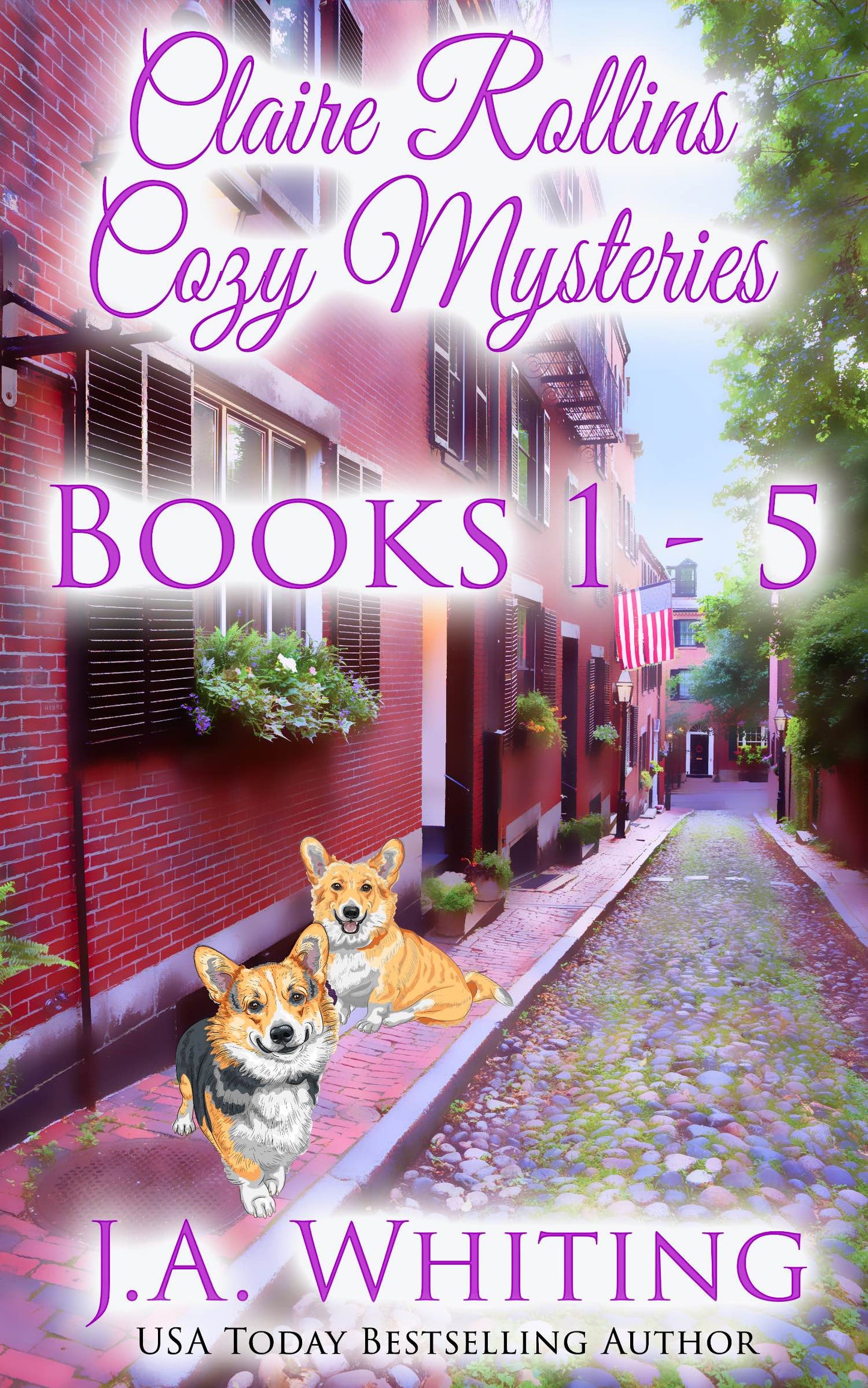 Claire Rollins Cozy Mysteries: Books 1-5 (EBOOK)
