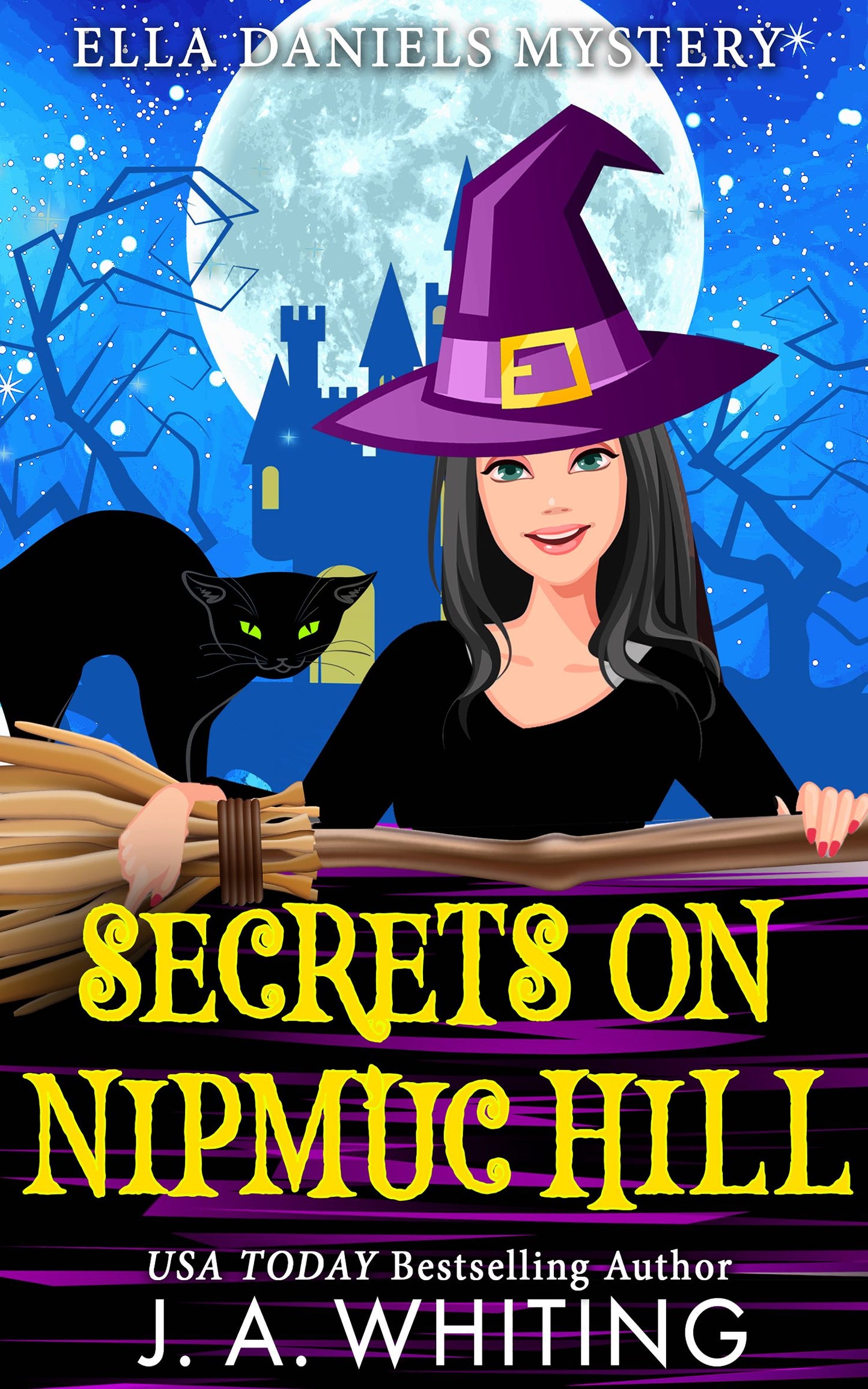 Secrets on Nipmuc Hill (EBOOK #3)