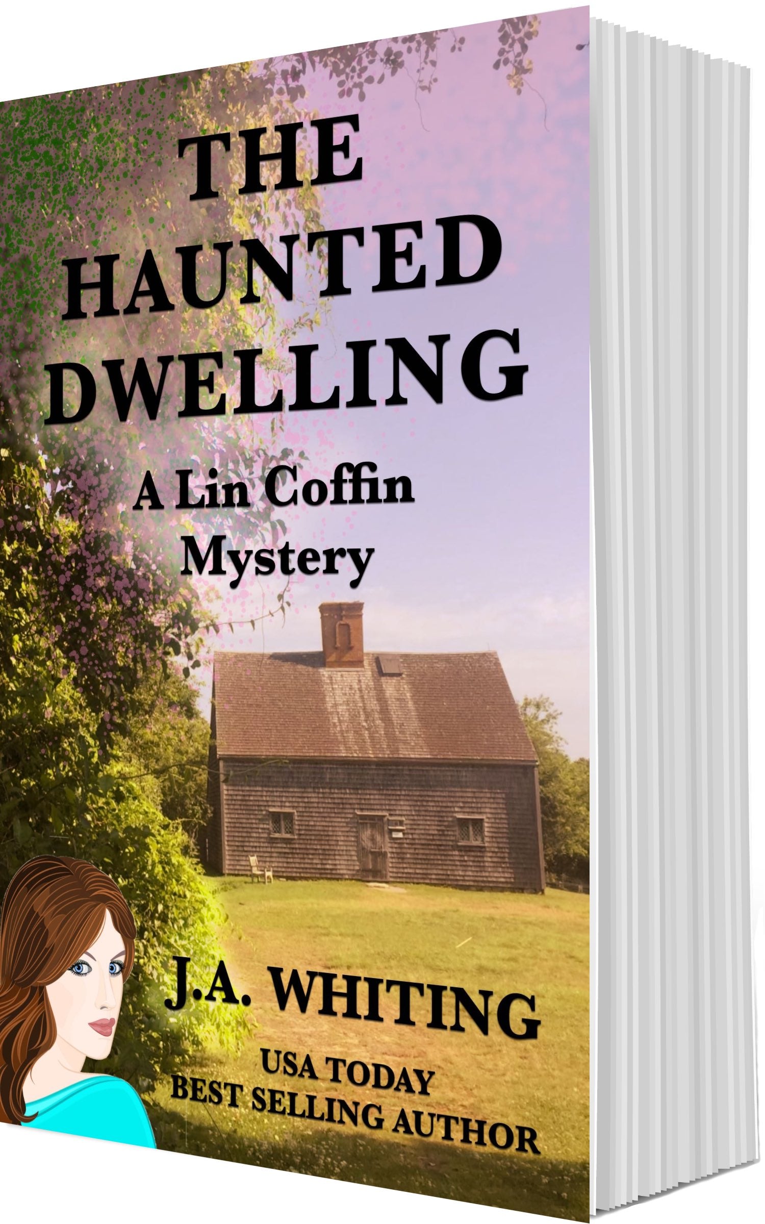 J A Whiting The Haunted Dwelling Paperback