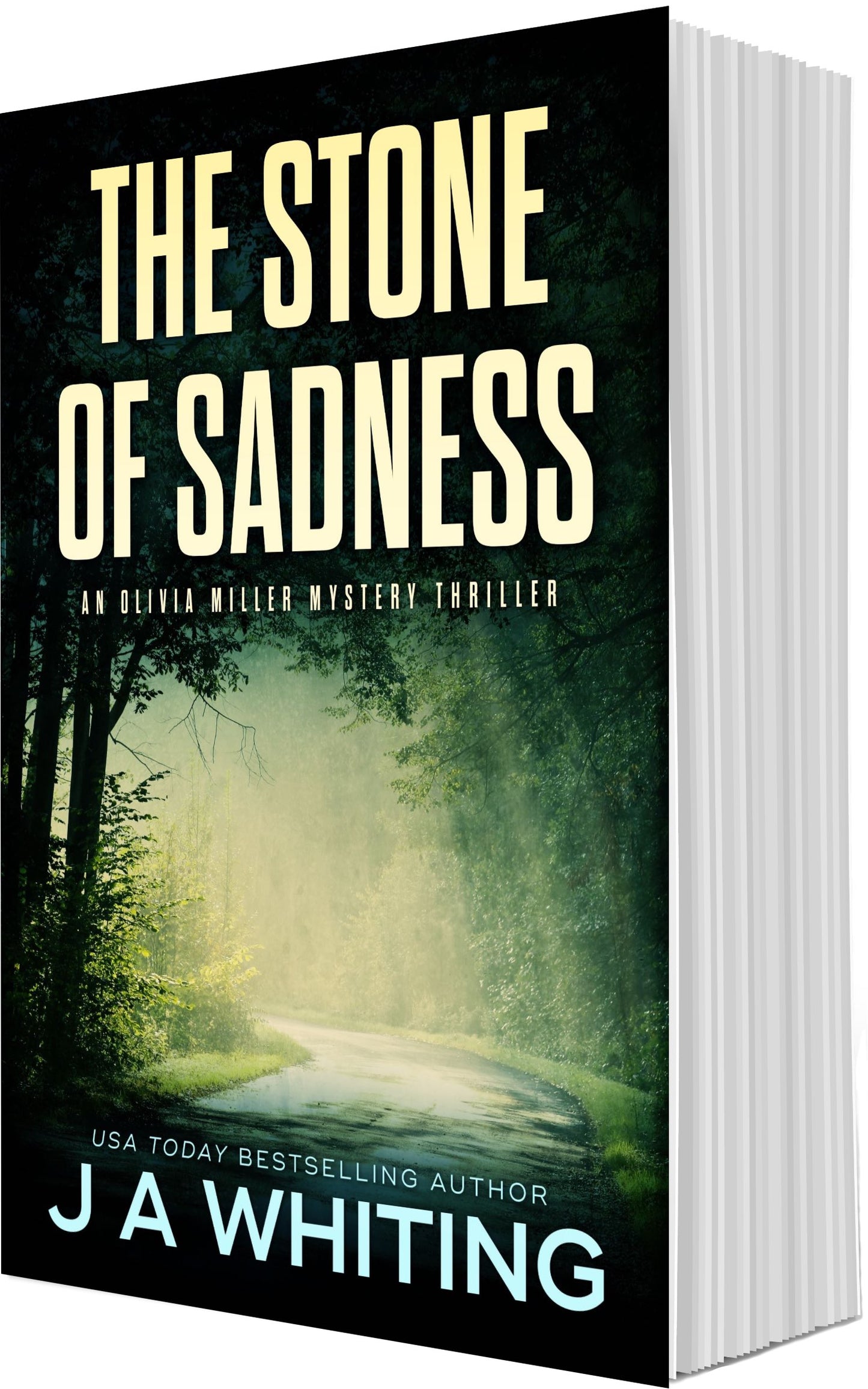 J A Whiting The Stone of Sadness Paperback