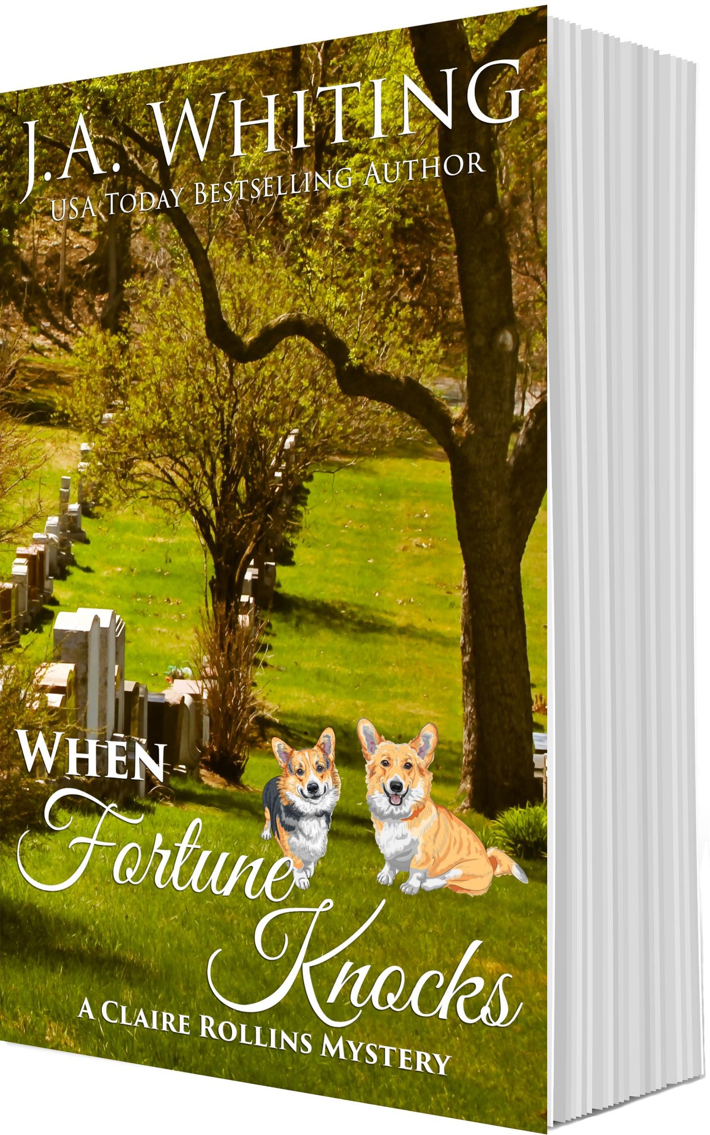 J.A. Whiting When Fortune Knocks Paperback