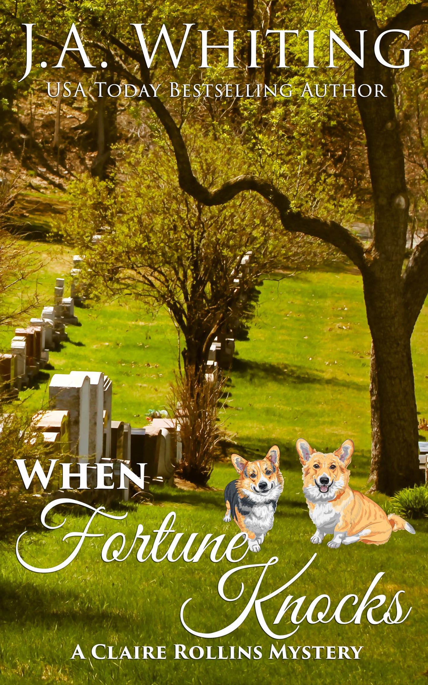 When Fortune Knocks (EBOOK #7)